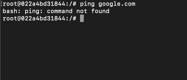 bash ping command not found error